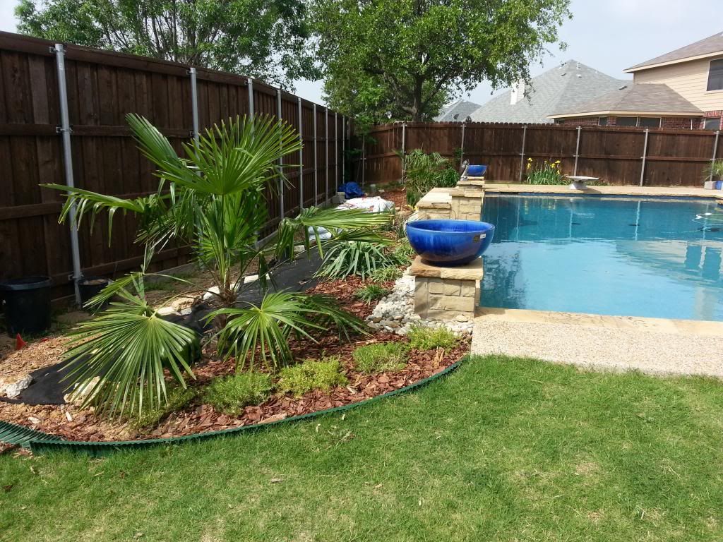 Re: North Texas landscaping ideas needed