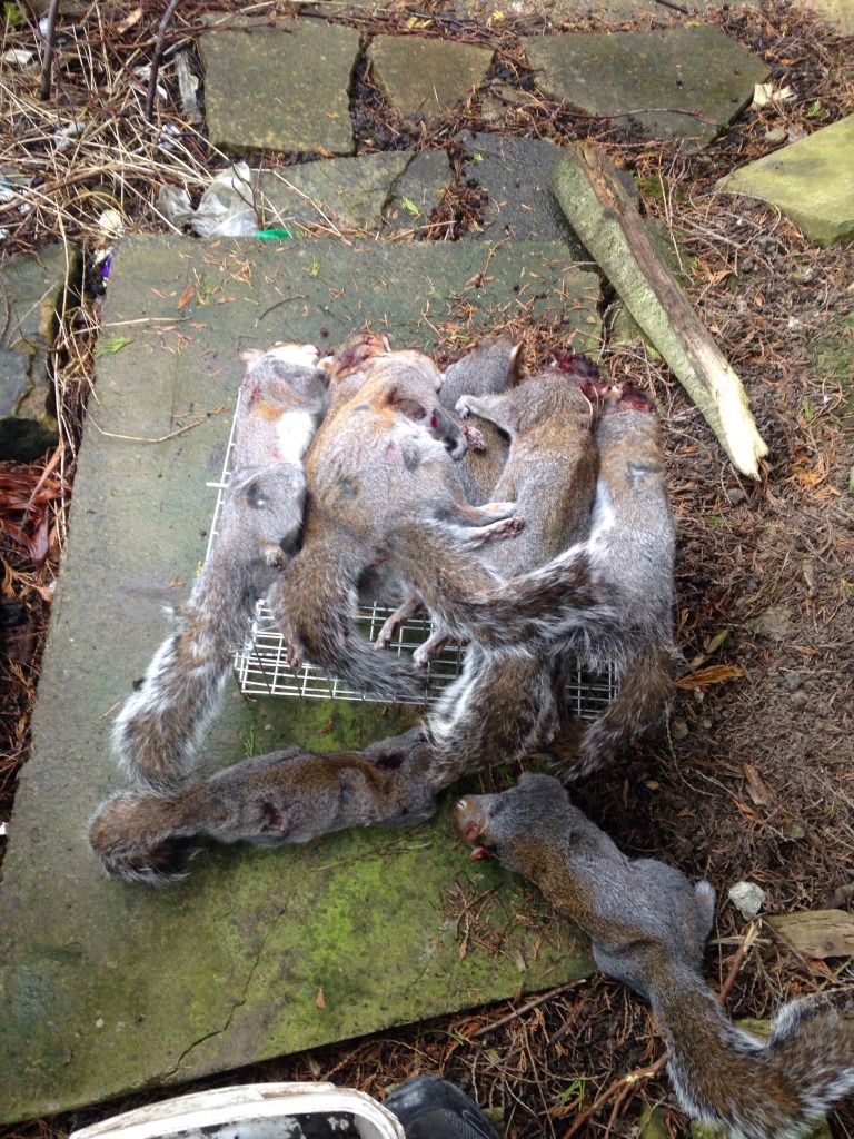 E6F8FE35-51C8-46D6-9198-BB96034C677E-354