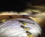 th_82DBF147-C35A-4EF5-B5B2-63708A5B742D-
