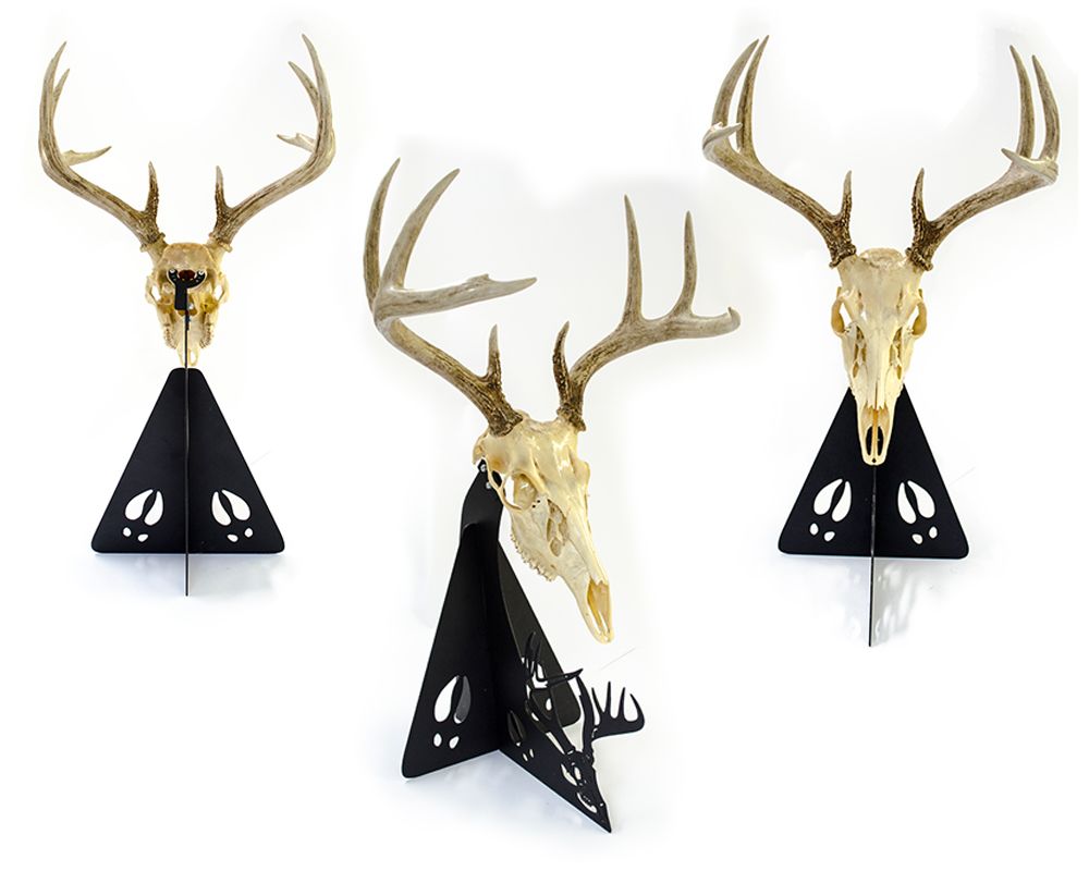 EUROPEAN DEER SKULL MOUNT KIT. HANDCRAFTED PEDESTAL WITH MOUNTING BRACKETS