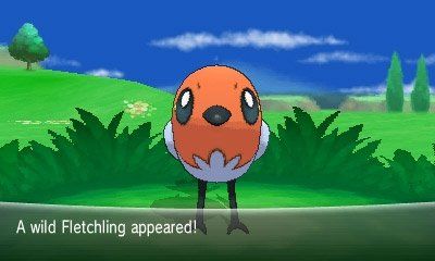 Fletchling photo 26_zps1eae6a3e.jpg