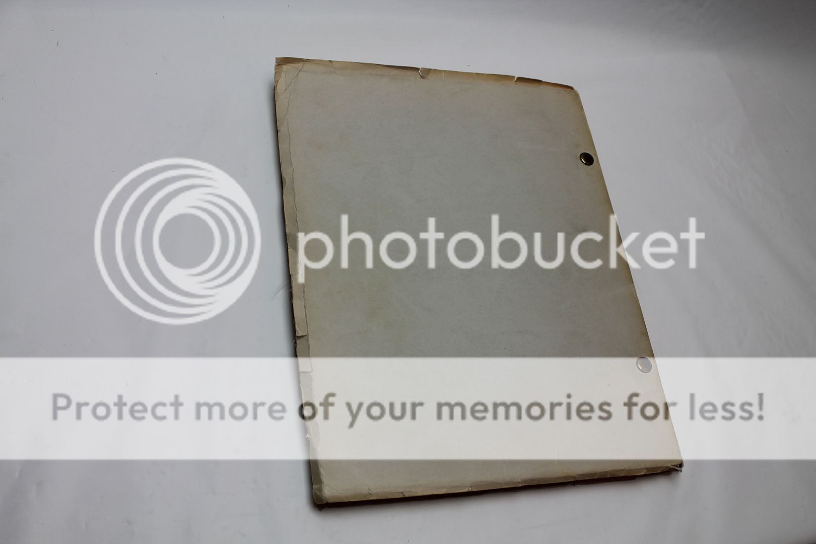  photo IMG_5107_zpskjd5p5fl.jpg